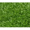Cm alfombra shaggy 100 X 150
