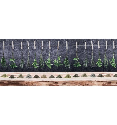 Anti-Rutsch Pastia Teppich TRANSFER SPICES HANGING