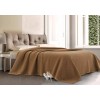 Cammello coperta singola cm 160x220