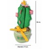 Mexico cactus DoorStop