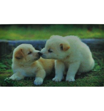 Perros mat Digital 3 45 x 75 cm.