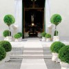 Tira de alfombra mágica grande modificada para requisitos particulares 1 mt para eventos y ceremonias de la boda