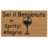 Felpudo rectangular en cm coco. 40X70 ALLEGRO SPRITZ