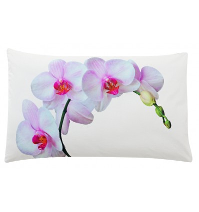 Cuccioli e Flowers el lecho fija (varios tamaños).