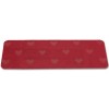 ZELI small entrance step doormat 25x70 cm.
