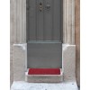 ZELI small entrance step doormat 25x70 cm.