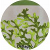 Coralli Vitamina drap de plage 90 x 160 cm microfibre