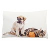 Kissen Bett Fotoabzug Cane e gatto