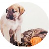 Kissen Bett Fotoabzug Cane e gatto