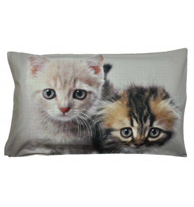 Due gattini Tirage photographique de lit oreiller taie d'oreiller