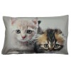 Due gattini Bed pillow pillowcase photographic print