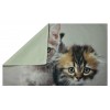 Due gattini Bed pillow pillowcase photographic print