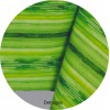 IKARUS cotton tablecloth 135 cm wide and long tailored plasticized