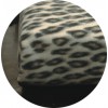 Safari Double couverture 210 x 250 cm