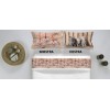 Cat Fresh Life bedding sets various measures